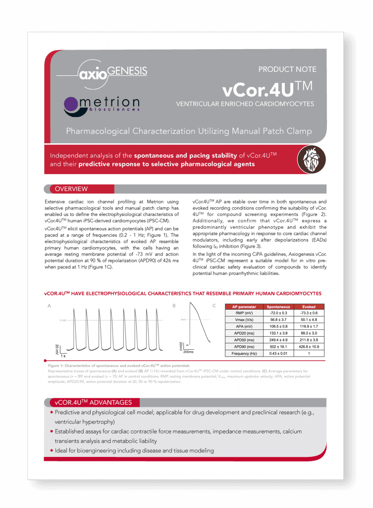 vCor.4U™ Ventricular Enriched Cardiomyocytes