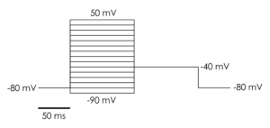 Voltage protocol used in manual patch and Qube recordings_KCNC1