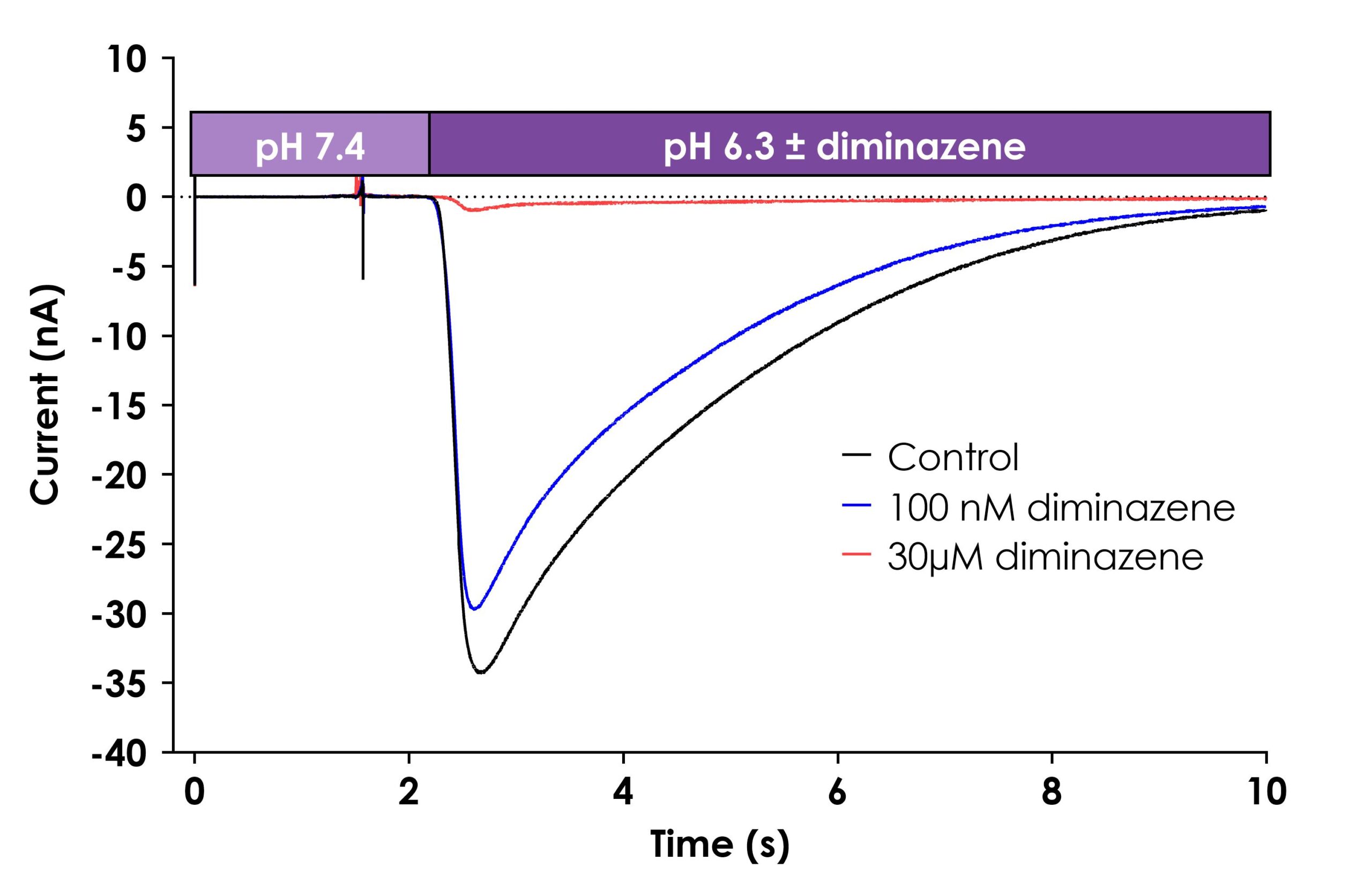 Example recording of hASIC1a inward current recorded on the Qube automated electrophysiology platform