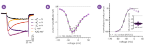 Biophysical assessment of hNaV1.9 using automated patch clamp technology