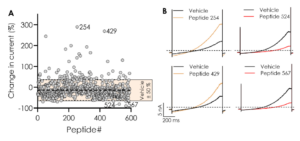 Peptide screen of TREK-1 activity on Qube 384