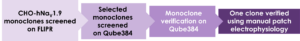 Monoclonal CHO-hNaV1.9 cell lines generated