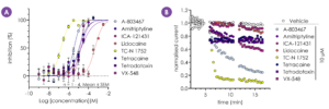 Pharmacological assessment of hNaV1.9 using automated patch clamp