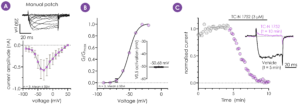 Representative current traces and IV analysis of hNaV1.9