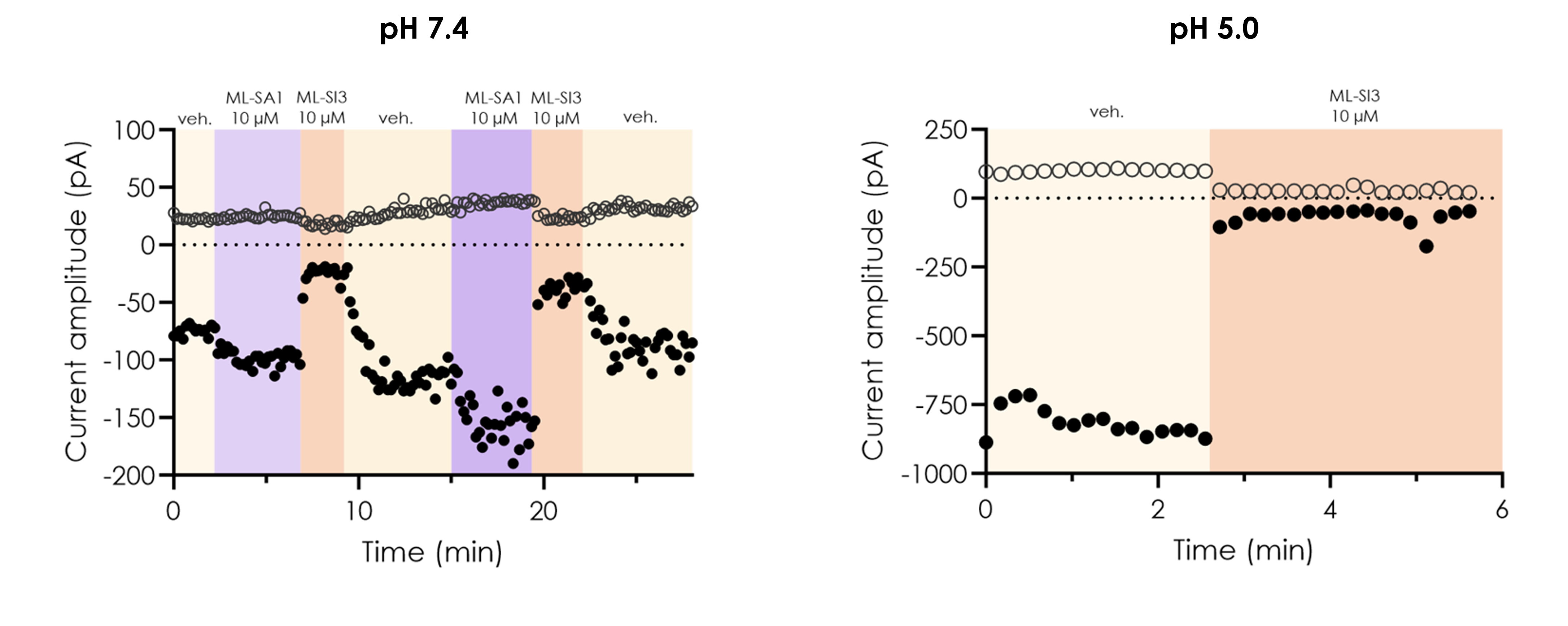 Pharmacological inhibition of wild-type TRPML1 currents recorded by manual patch-clamp