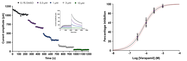 Peak and Mean hERG tail current_hERG screening