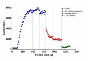 Representative TRPA1 current traces recorded on the QPatch 48