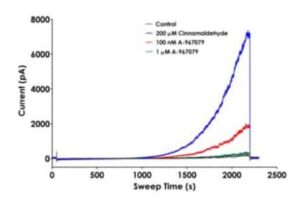 Representative TRPA1 current traces recorded on the QPatch 48