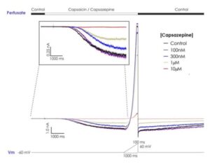 Representative TRPV1 current traces elicited by 2 µM capsaicin in the absence and presence of different concentrations of capsazepine