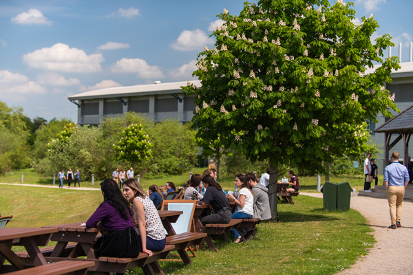 Granta Park picnic tables