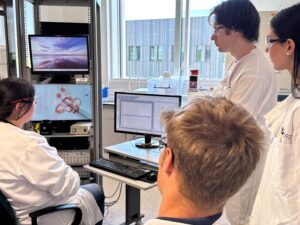 Manual patching of lysosomes 