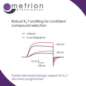 Metrion combines robust high-throughput Kv7 assay capability with deep ion channel expertise to help biotech and pharma teams advance programmes in pain and epilepsy with confidence.