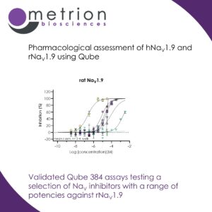 Validated Qube 384 assays testing a selection of NaV inhibitors with a range of potencies against rNaV1.9