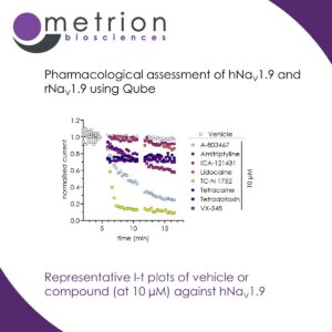 Representative I-t plots of vehicle or compound (at 10 µM) against hNaV1.9