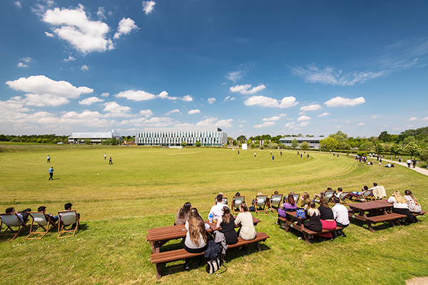 Cricket field Granta Park