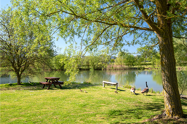Lake at Granta Park